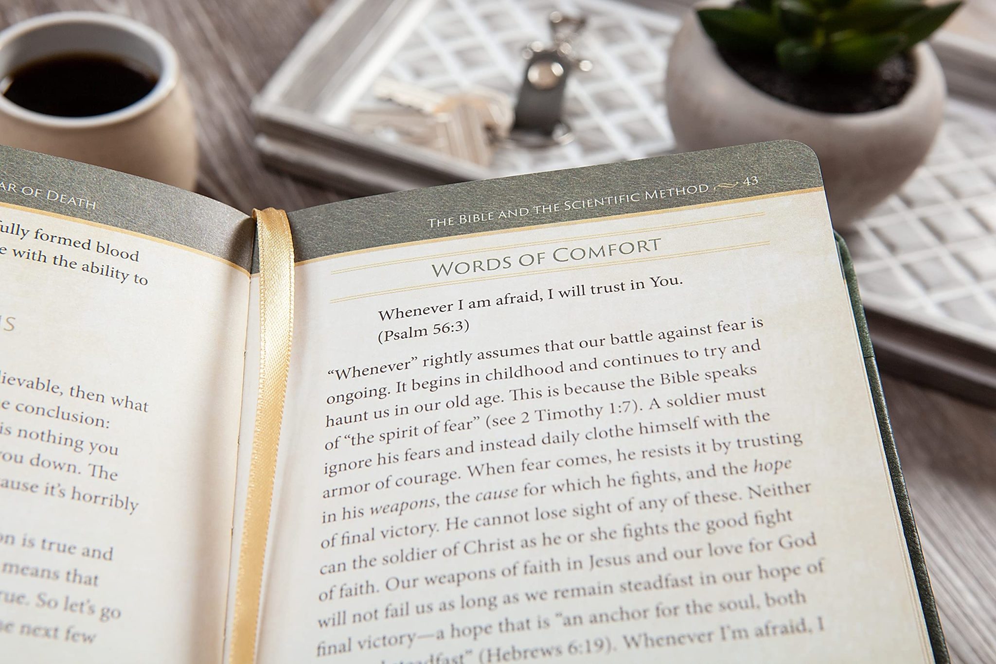 How to be Free From the Fear of Death (book) - Image 3