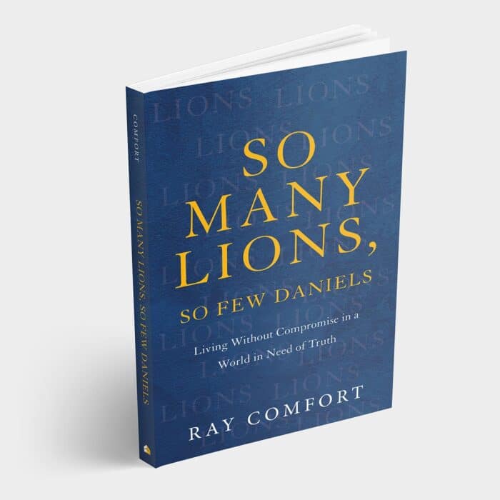 So Many Lions, So Few Daniels - Image 2