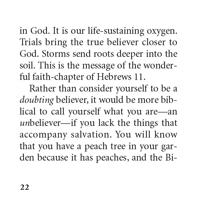 When a Believer Has Doubts - Image 23