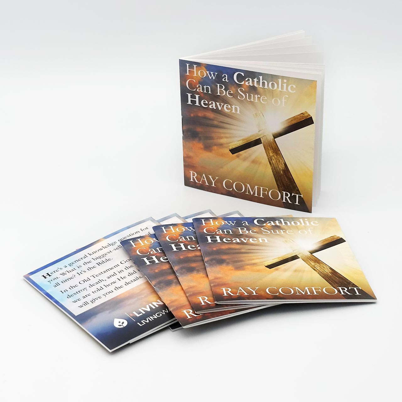 How a Catholic Can be Sure of Heaven - Image 3